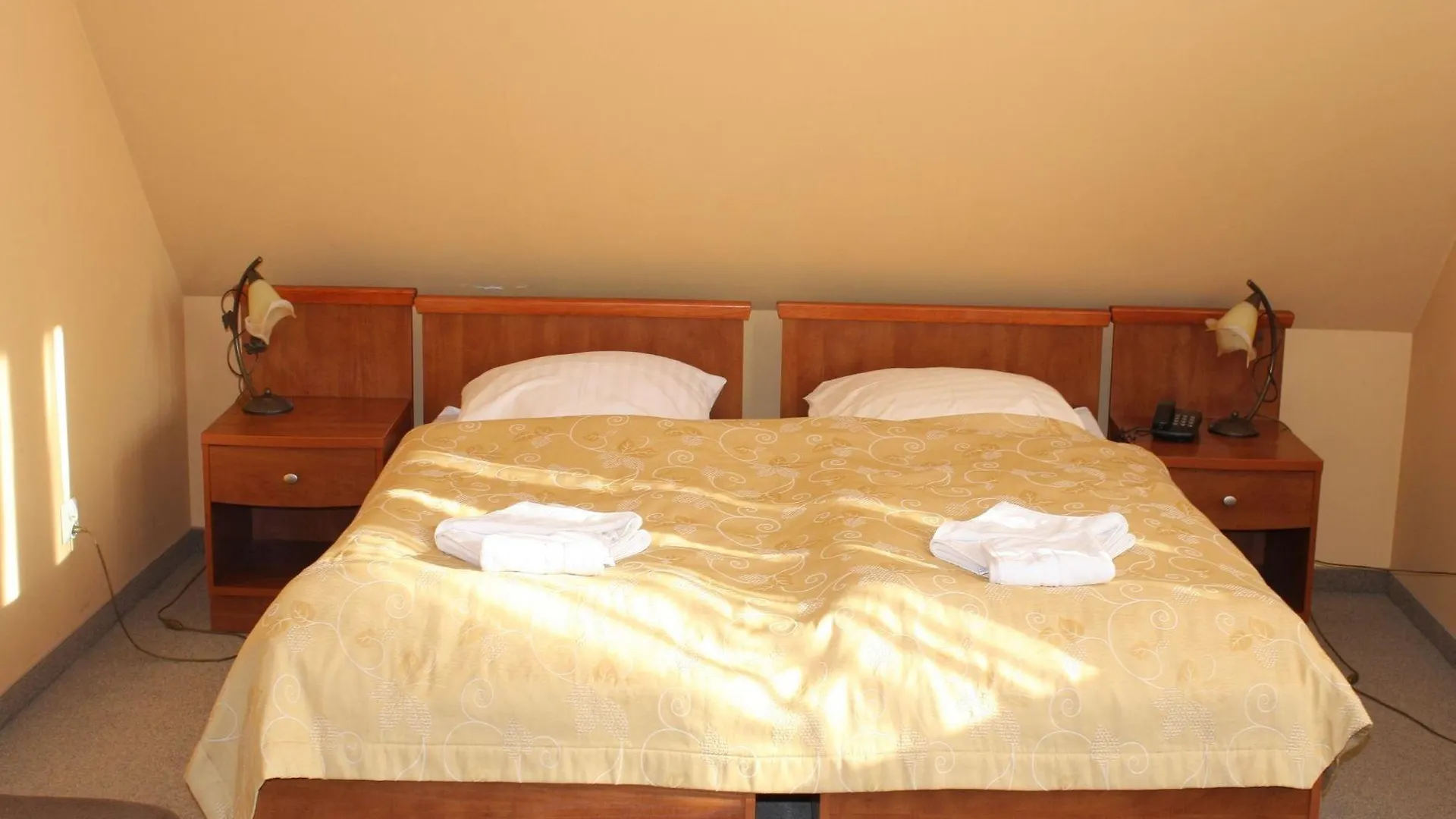 Bed & Breakfast Villa Pascal Gdaňsk
